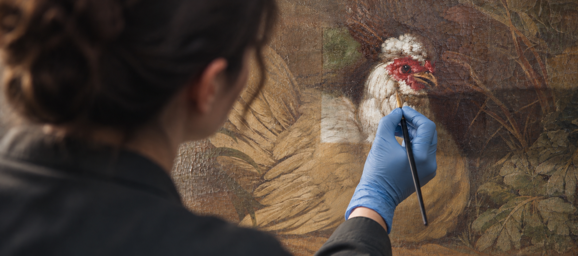 Een restaurator met blauwe handschoen retoucheert met een fijn penseel een geschilderde vogel op een kwetsbaar historisch doek