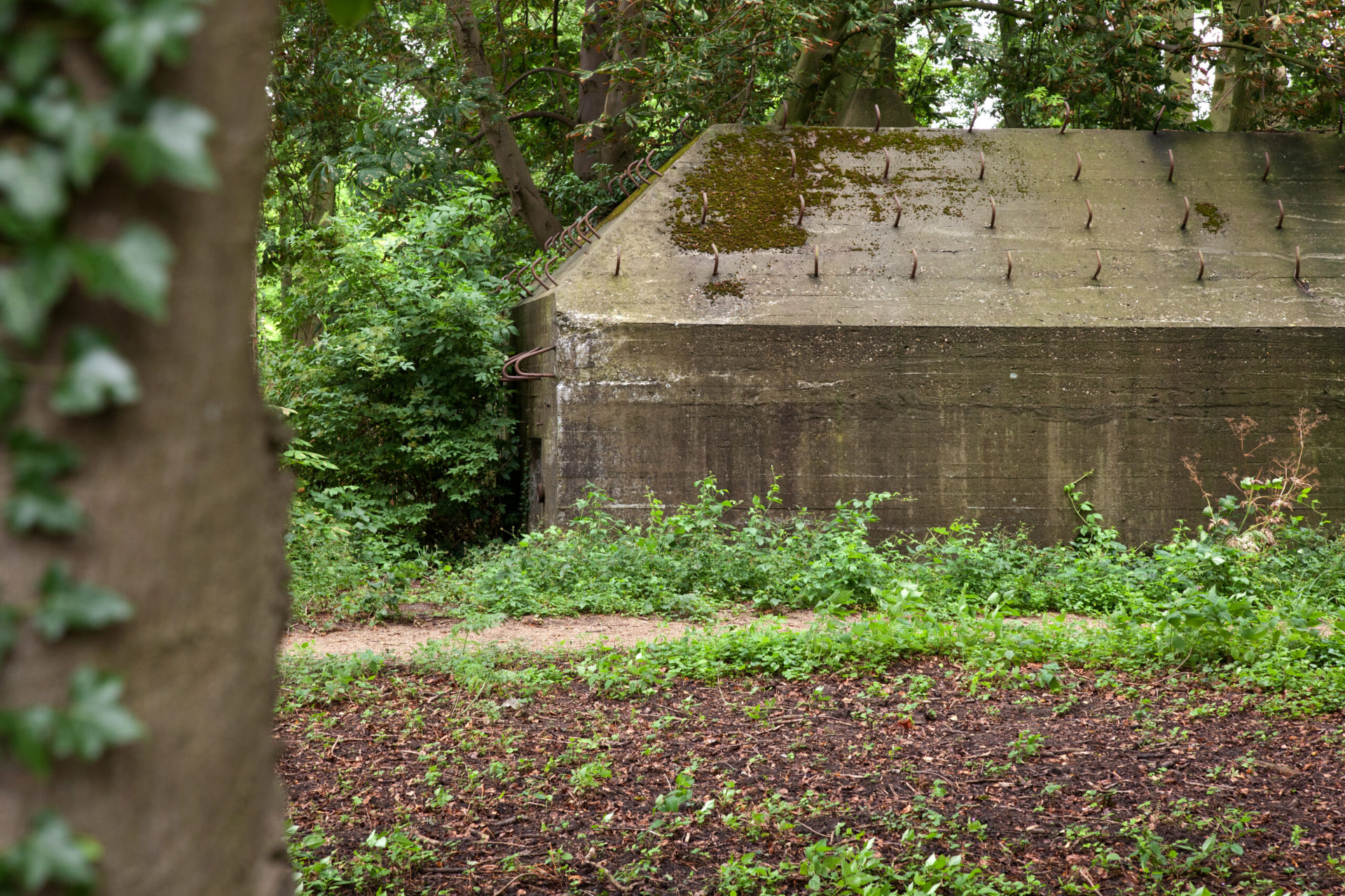 Betonnen bunker met rijen verroeste metalen haken op het afgeschuinde dak, begroeid geraakt tussen bomen en struikgewas; een smal zandpad loopt vlak voor de bunker langs