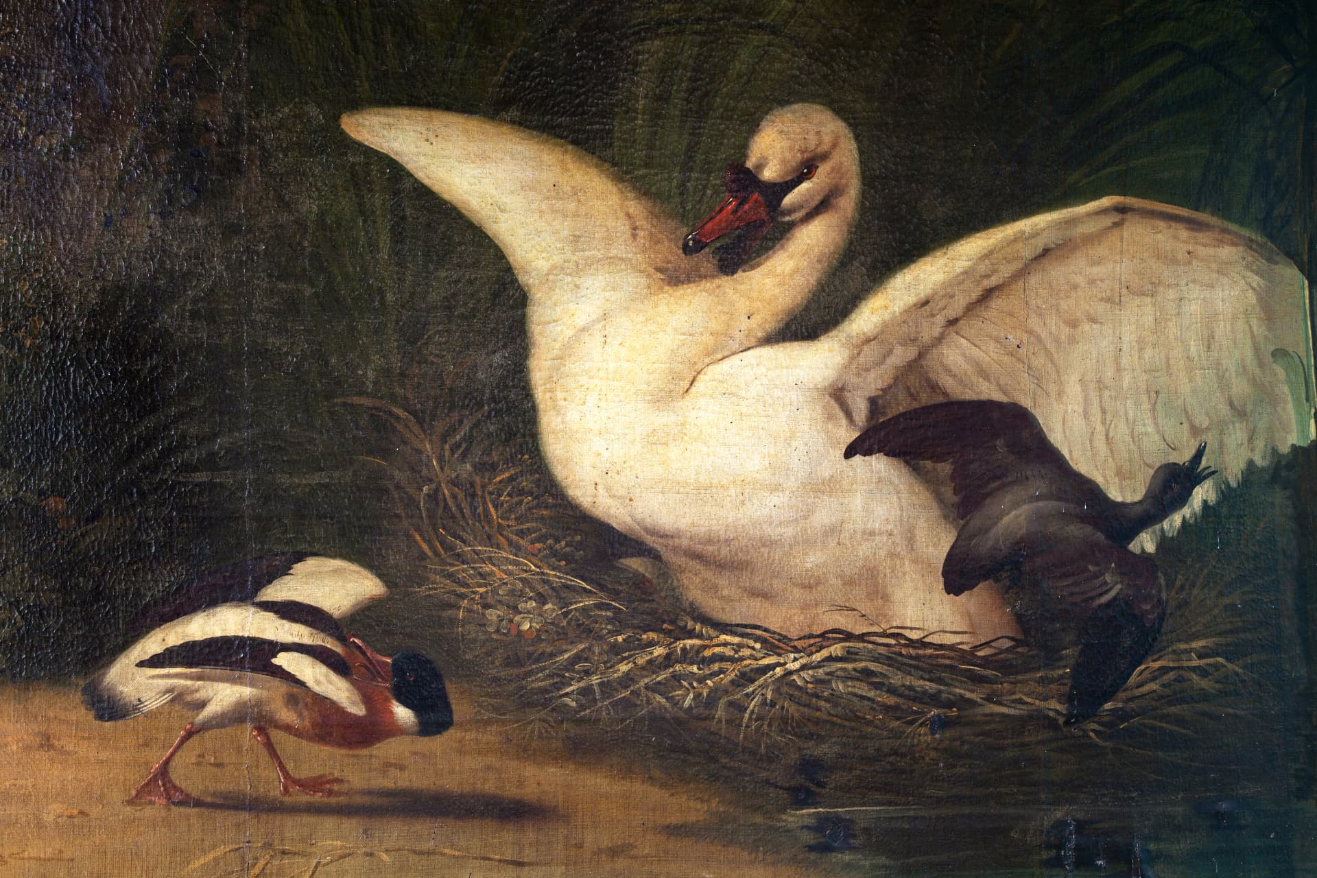 Detail van het geschilderde behang: een zwaan met gespreide vleugels boven een nest in het riet