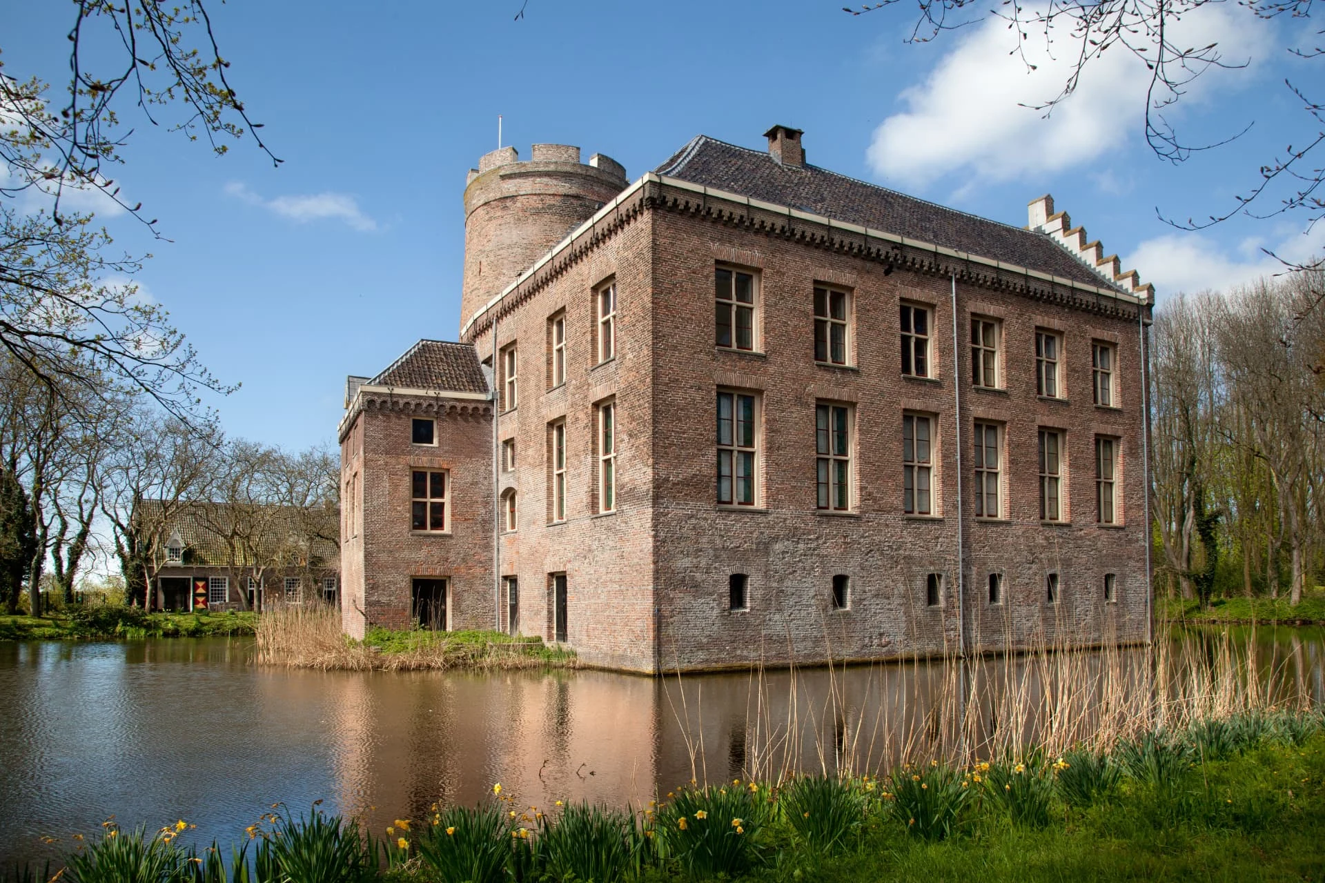 Het bakstenen kasteel met de ronde, gekanteelde toren en een vlaggenmast, gezien over de brede slotgracht; op de voorgrond gras met gele narcissen en droog riet, kale boomtakken aan de bovenkant tegen een blauwe lucht
