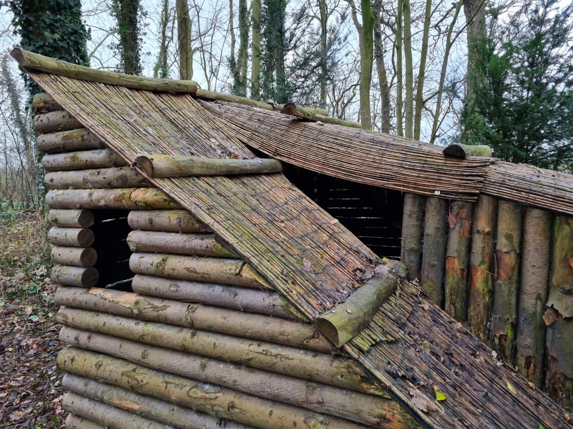 Gereconstrueerde hermitage van boomstammen met een beschadigd dak in het bos