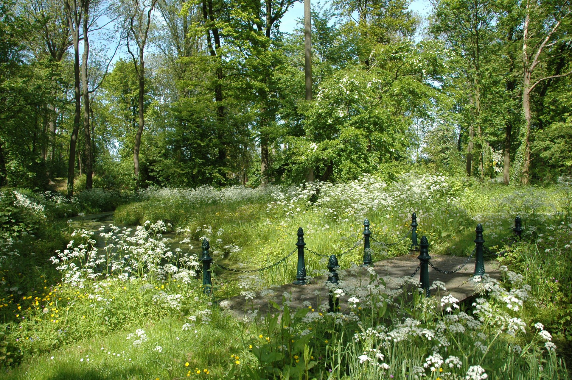 Bloeiend fluitenkruid rond een bruggetje met zwarte paaltjes en kettingen in het kasteelpark