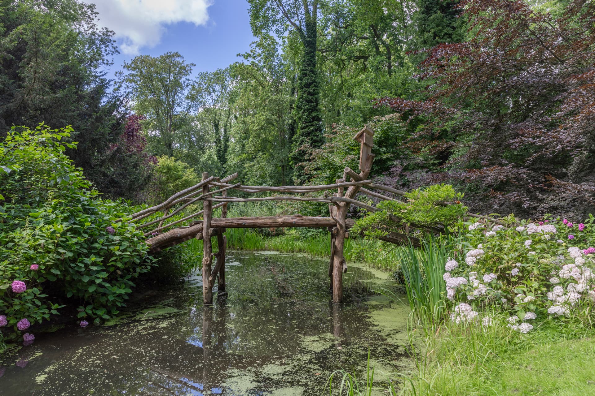 Rustieke knuppelbrug over het water in het kasteelpark, met hortensia's